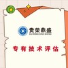 广东省潮州市软著评估