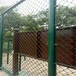 汉中体育场护栏学校运动球场护栏操场篮球体育场护栏陕西球场护栏