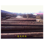 铜川杨木板材木方批发市场，规格价格优图片1
