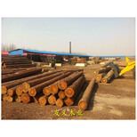 铜川杨木板材木方批发市场，规格价格优图片4