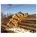 榆林进口板材批发市场，规格价格优