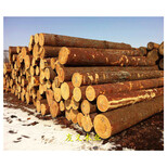 安康建筑工地木方加工厂，规格价格优图片3