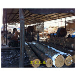 安康建筑工地木方加工厂，规格价格优图片4