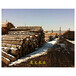 漢中木材木方廠家，規格價格優