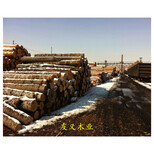 铜川松木方厂家，规格价格优图片3