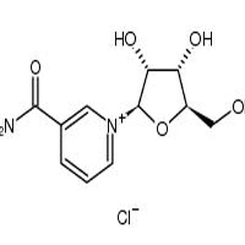 烟酰胺核糖氯化物