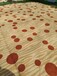 旧地毯二手地毯一次性二手地毯大量出售展会撤回的量大优惠处理