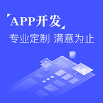 app开发技术团队多年技术经验开发团队科辉荣盛
