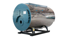 臨猗3噸燃氣低氮熱水鍋爐--氮燃燒機改造圖片2