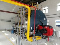 臨猗3噸燃氣低氮熱水鍋爐--氮燃燒機改造圖片3