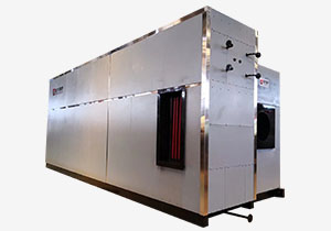 渭南12噸燃氣承壓熱水鍋爐--低氮燃燒機改造技術