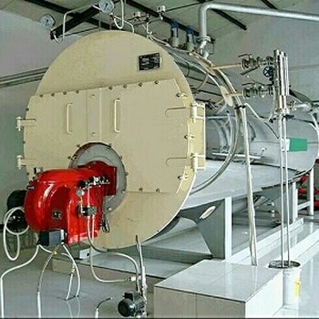 吕梁0.3吨天然气热水锅炉--氮燃烧机改造
