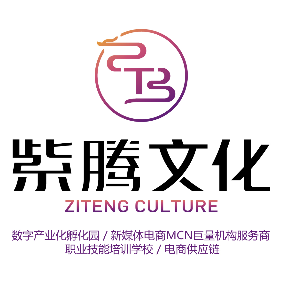 重庆紫腾文化科技有限公司
