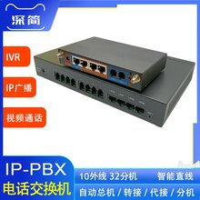 10外线FXO-32个SIP分机(9进33出)网络程控IP电话交换机