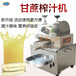 供应GY-ZZ-DP甘蔗生姜苹果自动榨汁机