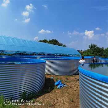 高密度养殖鱼池帆布鱼池圆桶养殖户外游泳池工业蓄水池价格