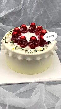 南陽蛋糕培訓南陽零極限學蛋糕學校