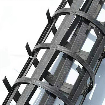 路基加固钢塑土工格栅山体护坡钢塑复合格栅钢塑格栅gsz120-120