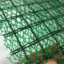 园林绿化护坡用三维植被网山坡复绿三维网垫水土保持网