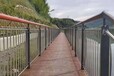 亳州市政防撞桥梁护栏多少钱