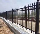 锌钢围墙护栏小区围栏庭院栏杆学校隔离栏喷塑栏铁艺栅栏图片