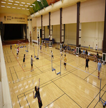 体育运动木地板篮球馆体育馆羽毛球馆舞台舞蹈教室枫桦木地板生产厂家