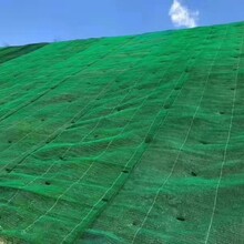 三维网固土网护坡盖土网绿化高速边坡植草三维植被网