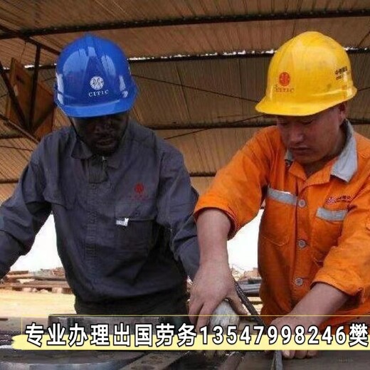 天津国外务工需要啥条件包机出境合法打工建筑工厂农场雇主保签