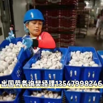 大连广州出国务工正规劳务公司包机出境合法打工不拖欠工资年薪40万起