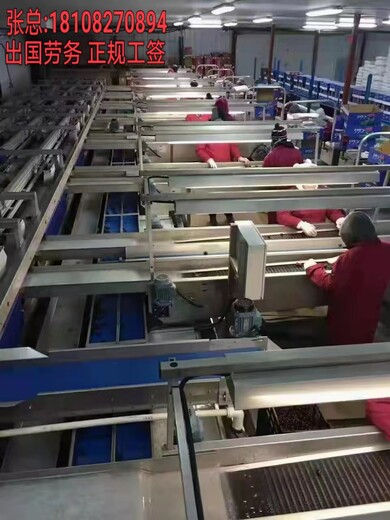 柳州出国打工需要什么资料招采摘工、包装工年薪43万