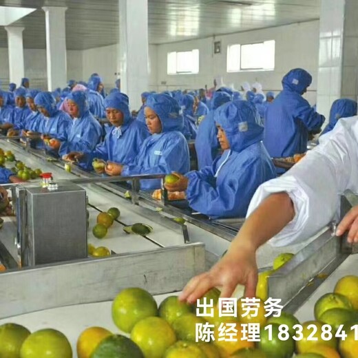淮北出国劳务一手单家政-农场-中餐厅月薪3.2万以上