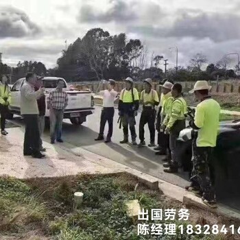 运城出国打工什么活挣钱保工作签证保签项目