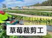 劳务包吃住零费用招建筑工厂普工清远