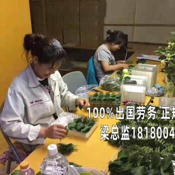 钦州出国劳务好么不拖欠工资帮厨工作签证