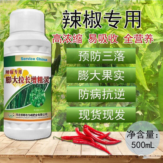 辣椒膨大增粗靈，促花授粉膨大增粗拉長防三落