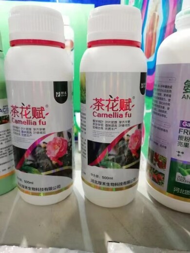 茶花賦，茶葉催芽闊葉芽齊芽肥提品級茶葉營養(yǎng)肥