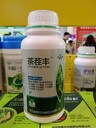 茶茬豐，出牙快牙齊牙嫩牙多催芽素500毫升