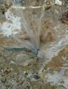 東莞地下管道查漏，南城室內(nèi)水管漏水檢測(cè)，查漏水定位收費(fèi)
