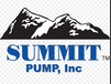 供应美国SUMMITPUMP2196R流程泵