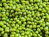 关于乌兹别克斯坦绿豆进口报关清关代理