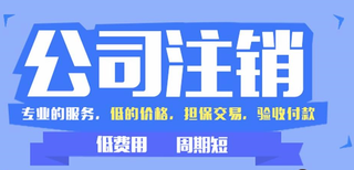 海口分公司网上注销流程、费用图片1