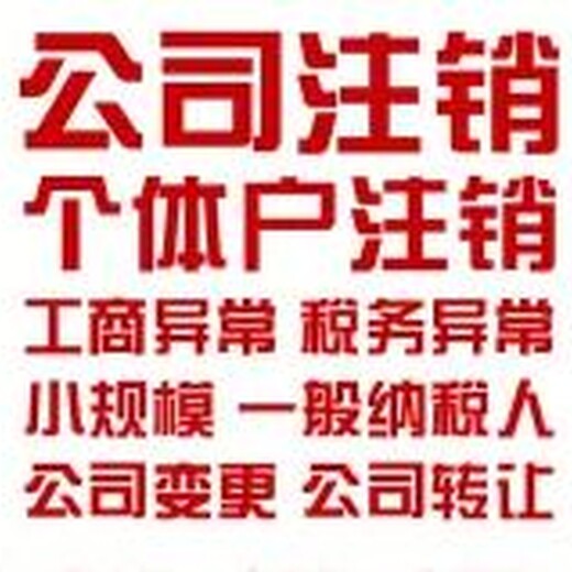 吉林延边登尼特集团香港公司年审服务
