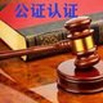 湖南娄底登尼特集团香港公司年审服务