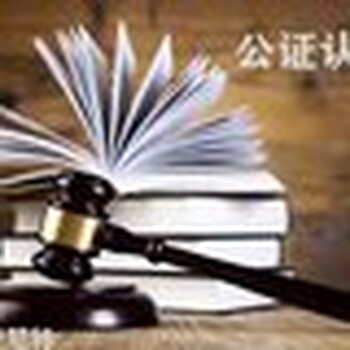 浙江麗水登尼特海牙認(rèn)證放心省心