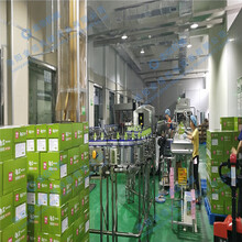 整套猕猴桃果汁饮料加工设备小型猕猴桃果汁饮料生产设备厂家