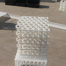 廠家注塑42枚蛋托防摔雞蛋收納托塑料雞蛋托型號圖片