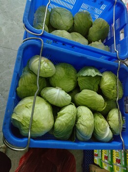 惠州陈江线上工厂蔬菜配送，惠州本地实力食材配送商就选优菜王