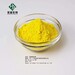 柏樹皮提取物鹽酸小檗堿黃連素98%