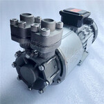 TECOTAMOTORI热导油泵YS-3000-180磁力驱动泵