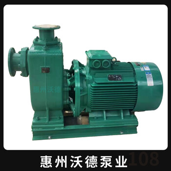 臥式污水泵65ZW30-18自吸廢水泵